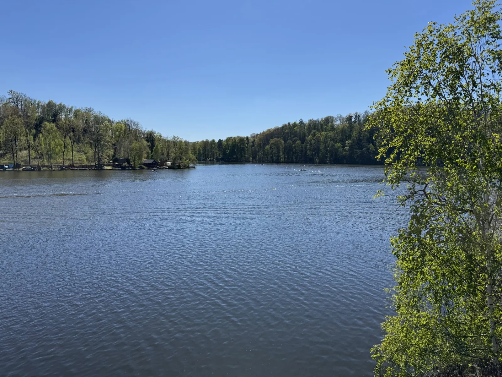 Kriebstein Talsperre Bild 2