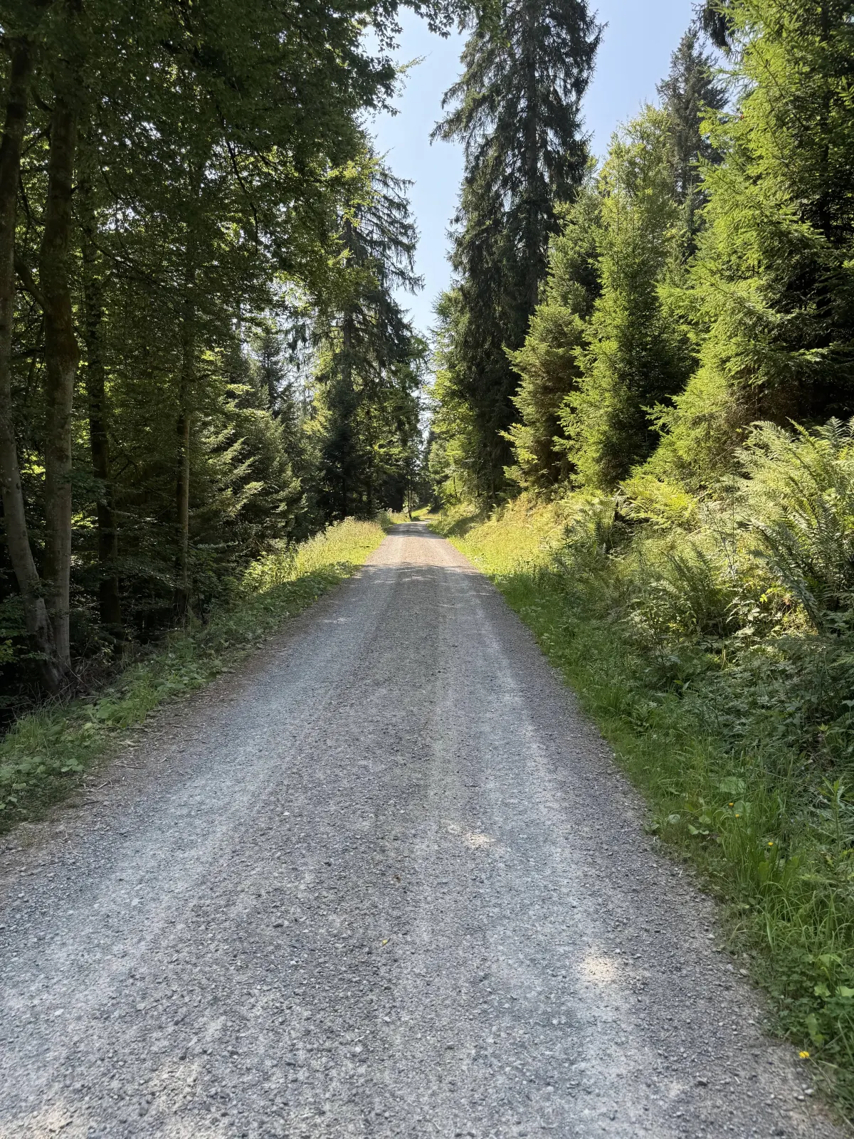 Petermännle-Brunnen Bild 1