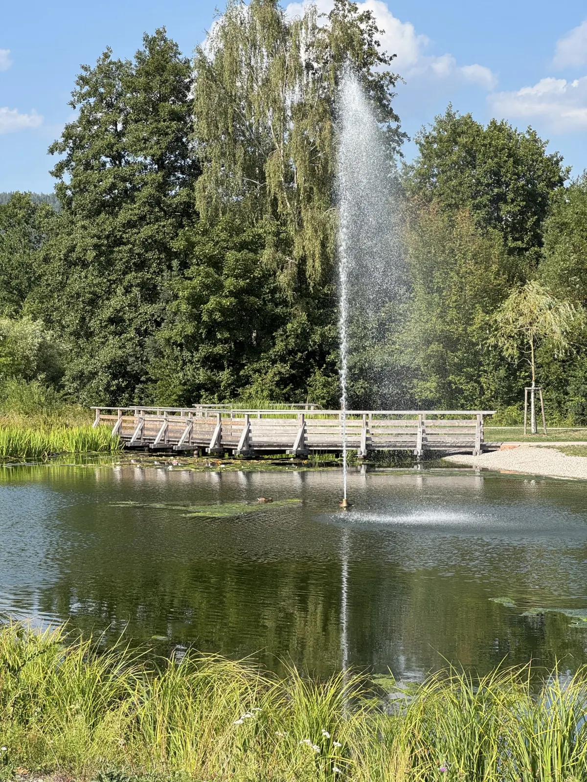 Schelklewiesen Baiersbronn Bild 2