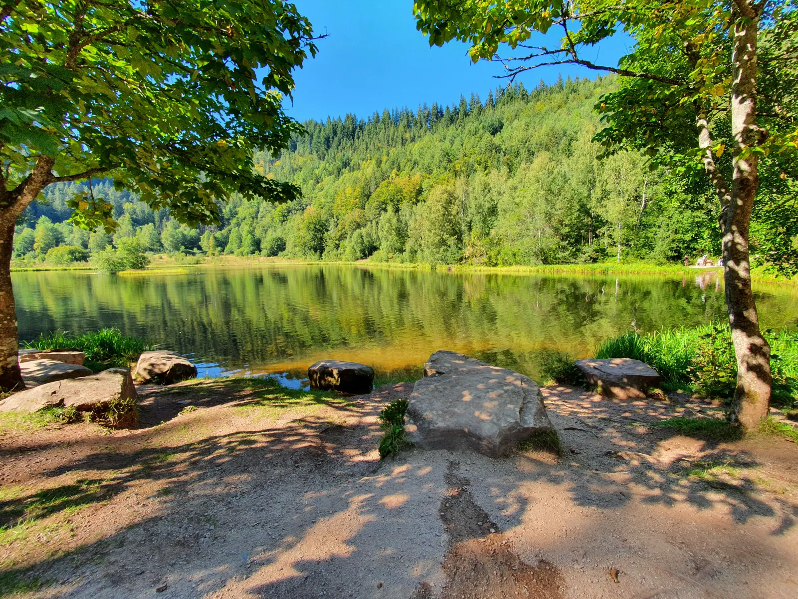 Sankenbachsee Bild 4