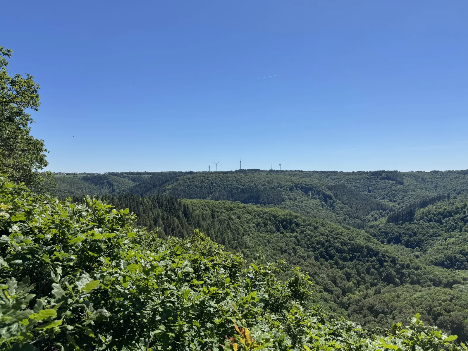 Panoramaweg Kirchwald