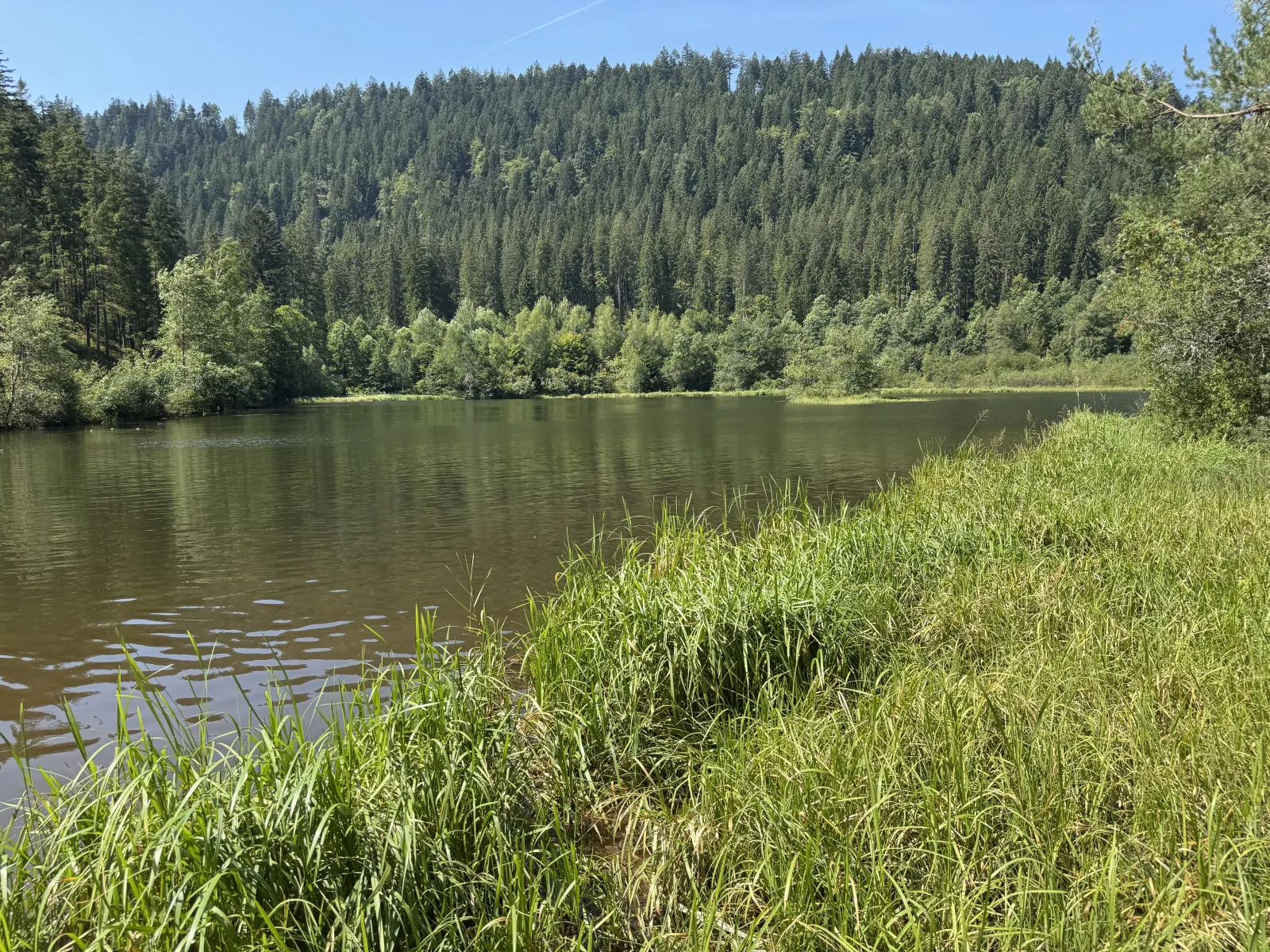Sankenbachsee