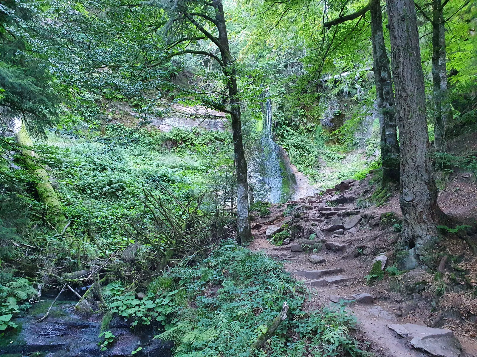 Sankenbach-Wasserfälle